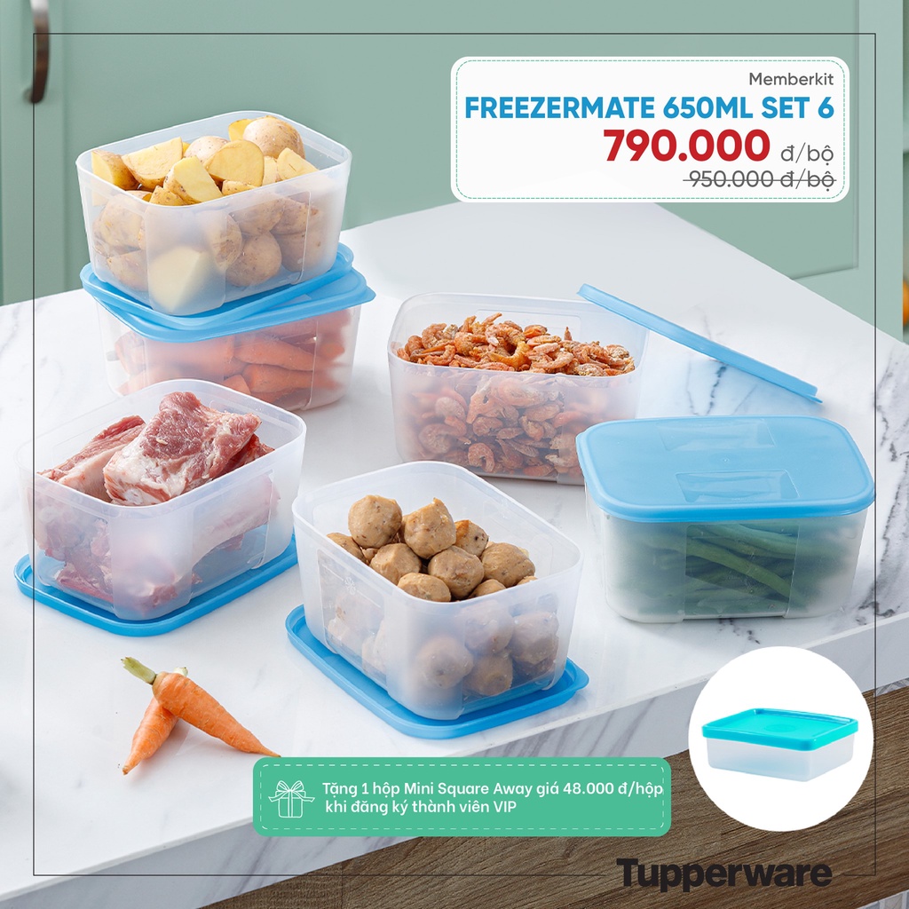 Tupperware - Bộ hộp trữ đông Freezermate 650ml (6 hộp)