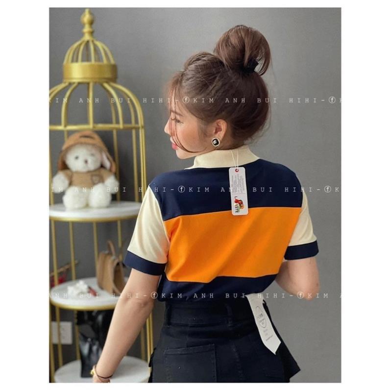 ÁO POLO NỮ MÀU CAM PHỐI THAN