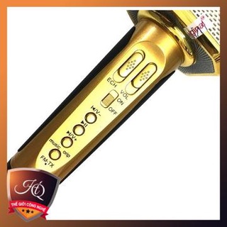 Micro Bluetooth hát Karaoke SD-16 16W