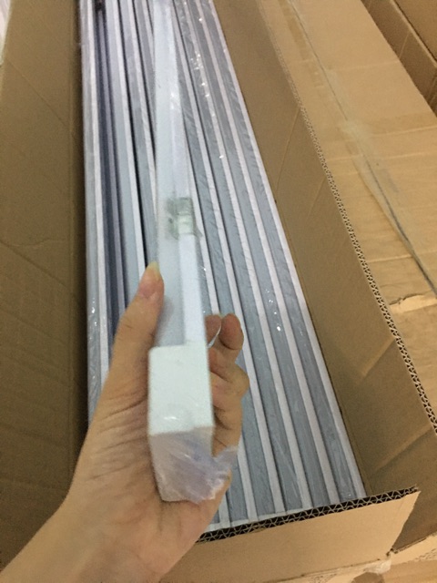 Đèn tuýp bán Nguyệt đầu vuông 56w Time, sáng trắng