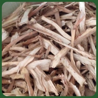 1Kg Sâm cau rừng loại 1
