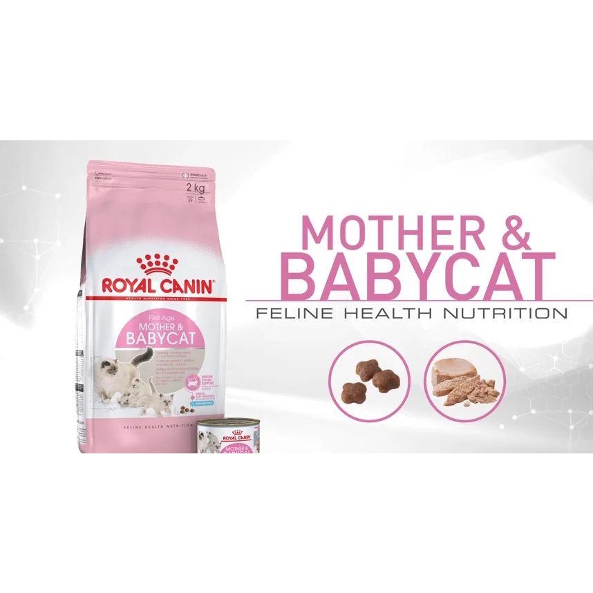 Thức ăn cho mèo con dưới 4 tháng tuổi Royal Canin Babycat
