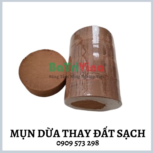 Hộp 10 Viên mụn dừa ép bánh dùng thay đất sạch BATRIVINA