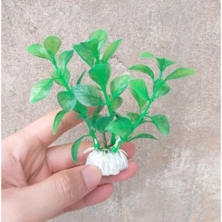Cây nhựa mini trang trí