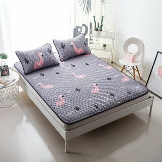 Chiếu tencel 3d