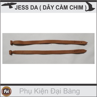 Dây da cầm chim, jess