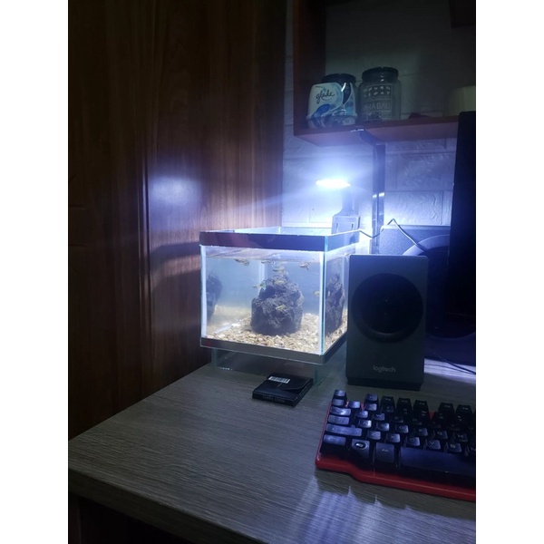 Đèn Kẹp Siêu Mỏng Ánh Sáng TRẮNG XANH X5 Cho Hồ Cá Tép, Thuỷ Sinh