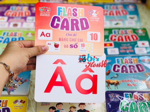 Bộ Thẻ Học Thông Minh 16 Chủ Đề loại to song ngữ tiếng Anh loại chuẩn Glenn Doman Flashcard