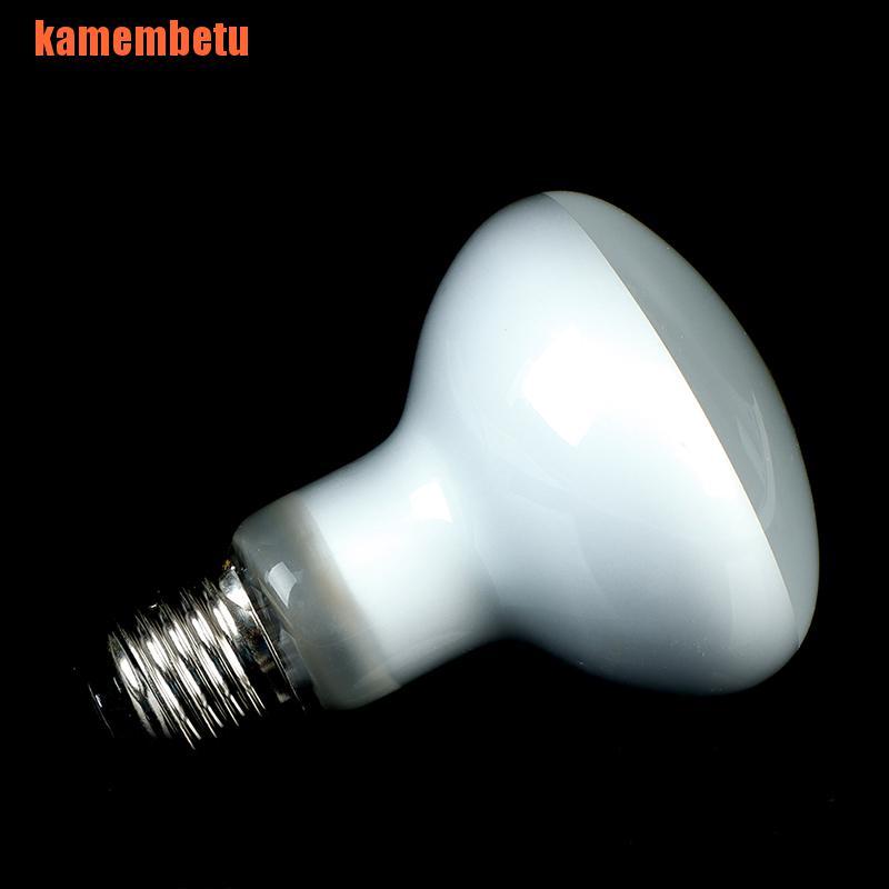 Bóng Đèn Tia Uv Sưởi Ấm Cho Bò Sát Uva + Uvb | BigBuy360 - bigbuy360.vn