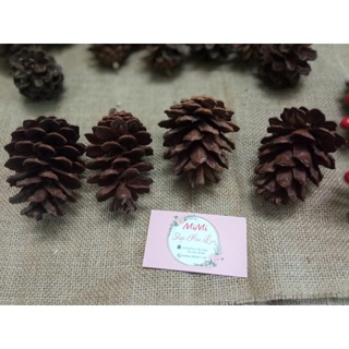 Quả thông khô trang trí nhà cửa, trang trí noel.