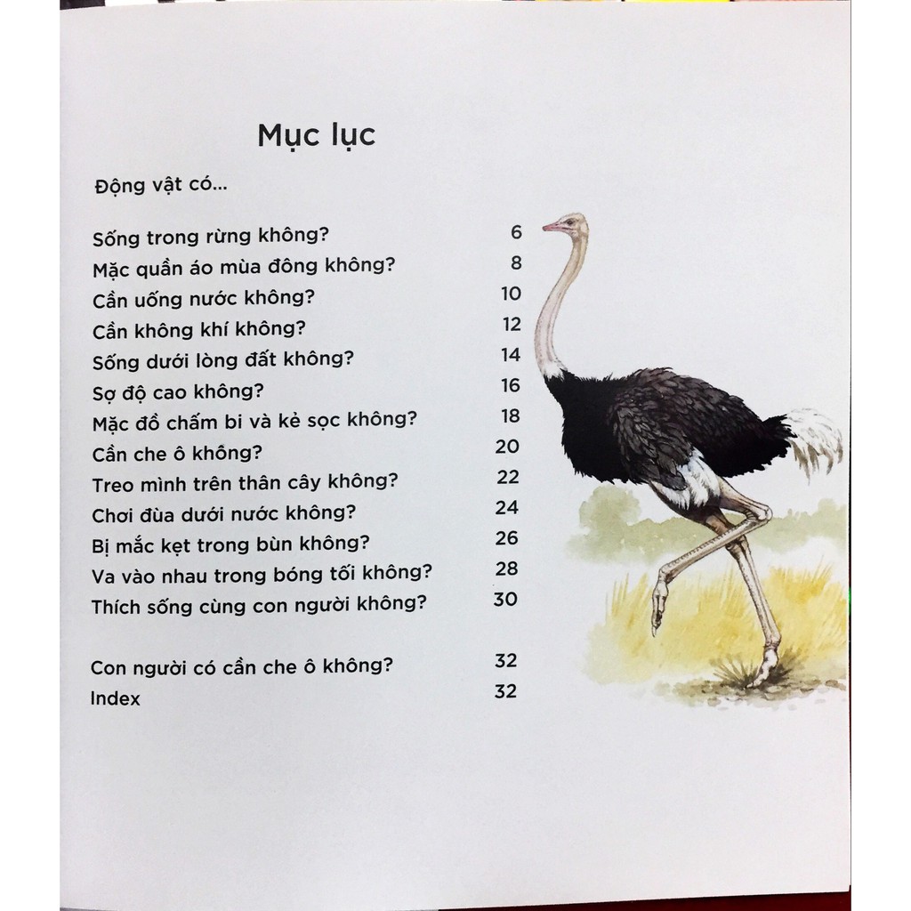 Sách - Bạn Có Biết : Động Vật Có Cần Che Ô Không? - Hỏi Đáp Về Thế Giới Hoang Dã