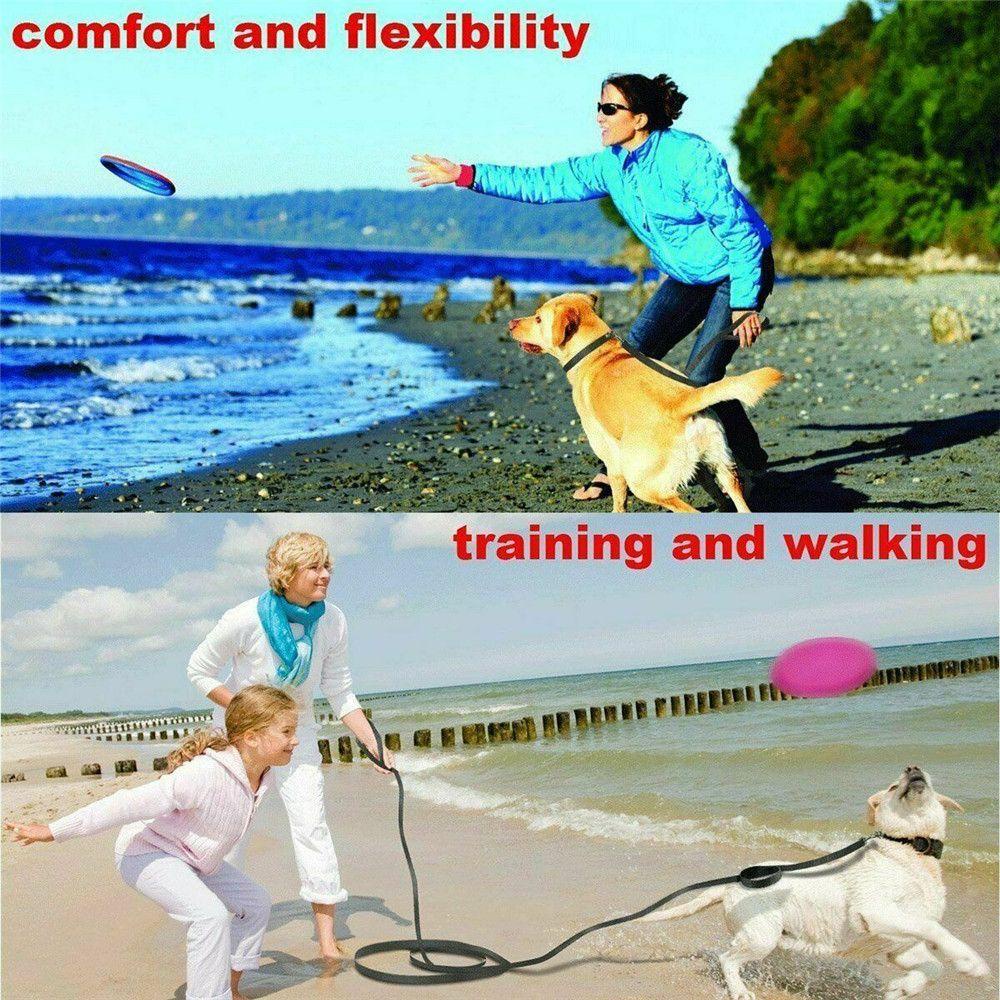 Dây Dắt Thú Cưng Đi Dạo Chất Liệu Nylon Thời Trang