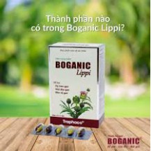 Boganic Lippi hỗ trợ giải độc gan, hỗ trợ hạ men gan, dị ứng, mụn nhọt, ngăn ngừa xơ vữa động mạch, giảm cholesterol