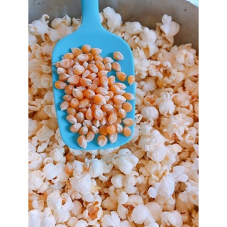 Bắp Mỹ bắp rang bơ ( 500g)