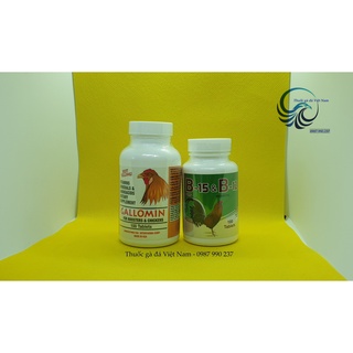 Combo Galomin + B15 & B12 nuôi gà đá hủ 100 viên