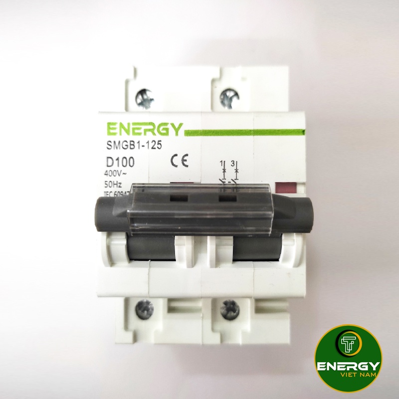 Aptomat MCB AC 2P 32A, 63A 6KA - 100A 10KA ENERGY - Thiết Bị Điện ENERGY