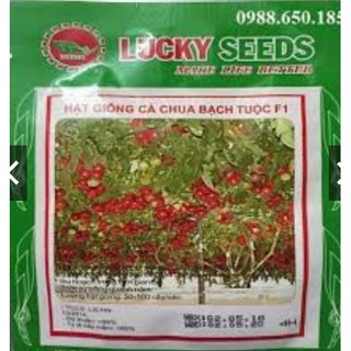 HẠT GIỐNG CÀ CHUA BẠCH TUỘC LEO GIÀN LUCKY GÓI 4H