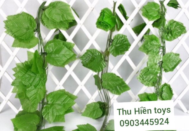 Dây Lá Nho Cuống Xanh Dài 2m