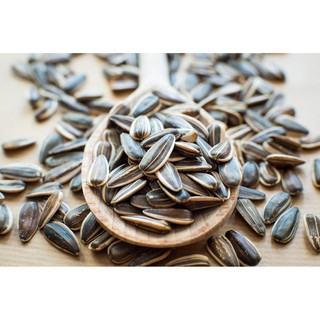 Hạt hướng dương Nga 100g
