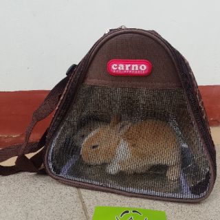 Túi đeo Pet tam giác