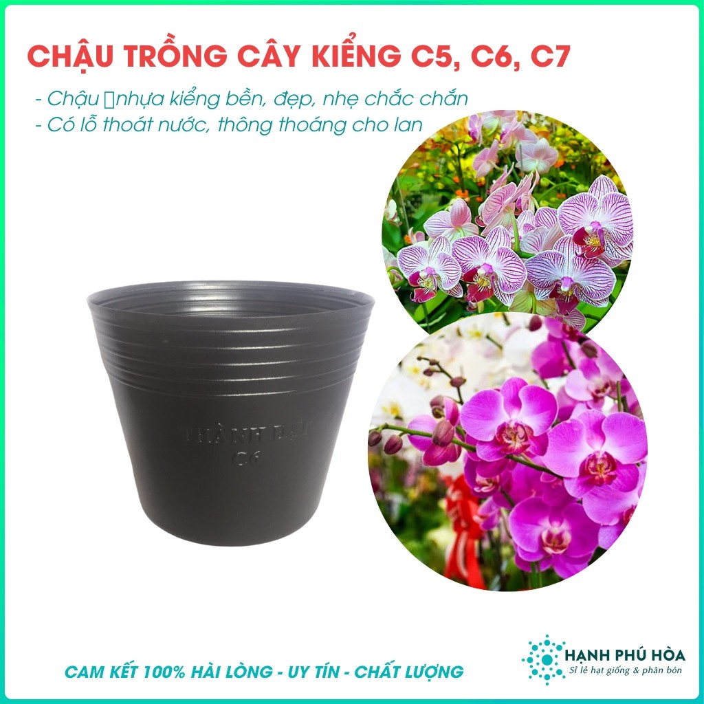 Bộ 10 Chậu Nhựa Dẻo Ươm Cây, Trồng Cây, Rau Màu, Hoa Lan, Hoa Hồng, Cây Cảnh, Đa Năng, Nhẹ, Chịu Nhiệt Tốt C5, C6, C7