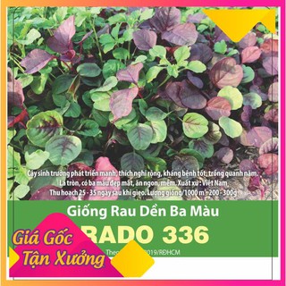 Hạt giống dền 3 màu gói 20gr