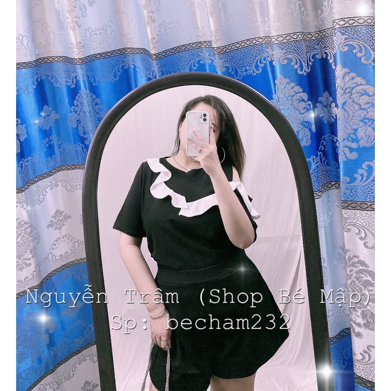 Set Áo Khoét Vai Phối Bèo Trắng Quần Short Ống Rộng BigSize 65-85Kg