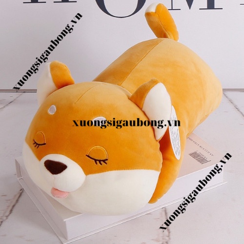 Gấu Bông Chó Shiba Ngủ , Shiba Mắt Tròn Tinh Nghịch