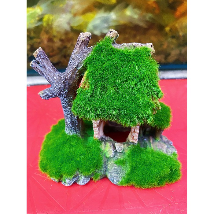 CỔNG NHÀ CÂY PHỦ RÊU TRANG TRÍ HỒ CÁ NON BỘ 11X7X12CM