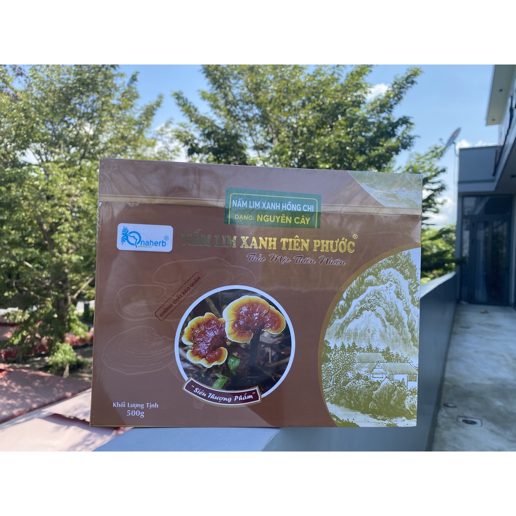 Nấm Lim Xanh nguyên cây 500 gram
