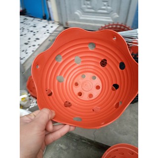 10 cái chậu trồng cây lan rộng 23cm x12cm