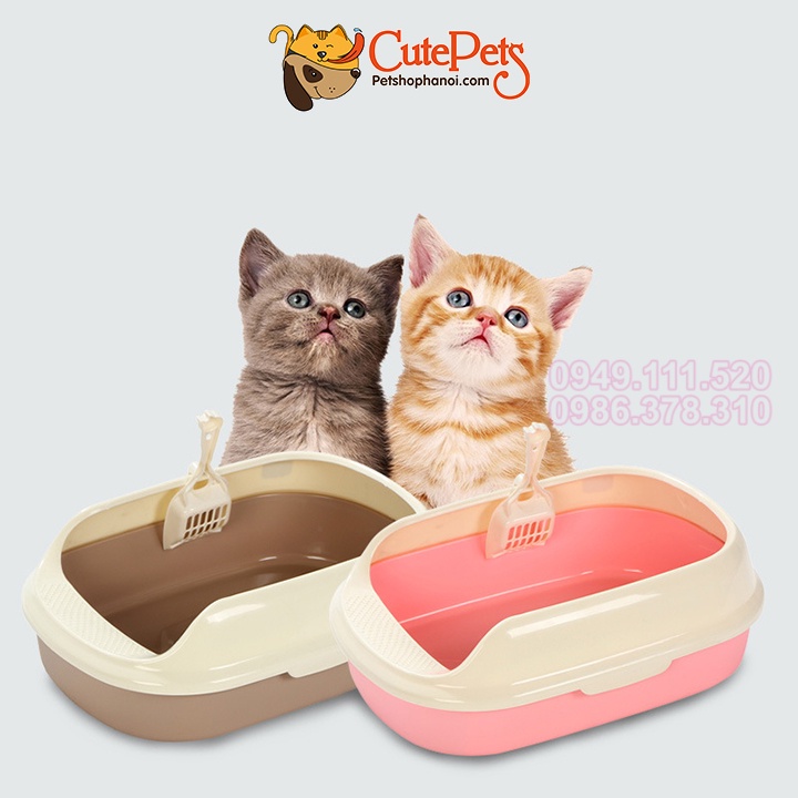 [Tặng Xẻng] Khay đựng cát vệ sinh cho mèo hình trứng nhỏ 40x28x13cm CutePets Phụ kiện thú cưng Pet shop Hà Nội