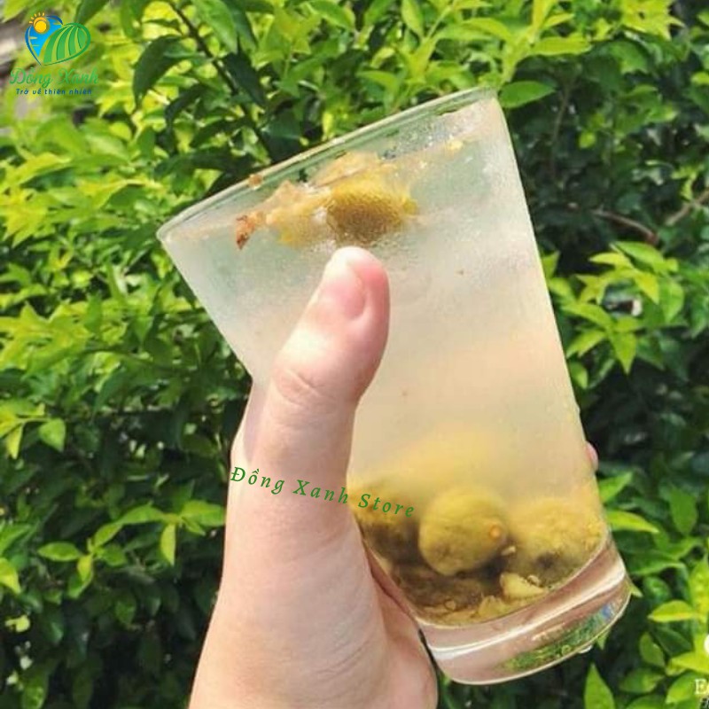 Sấu Sấy Lạnh - Quả Sấu Hà Nội - Sấu Sấy Khô giúp bảo quản được lâu hơn | BigBuy360 - bigbuy360.vn
