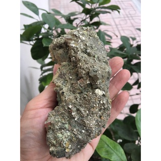 Cụm Đá Thô Raw Pyrite (Fools Gold)