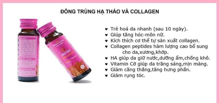 [Chính Hãng  - TĂNG QUÀ ] Nước Hector Collagen Đông Trùng Hạ Thảo 1 hộp 10 chai