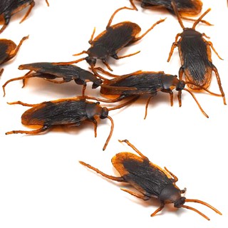 Bộ 10 Con Gián Đồ Chơi Độc Đáo