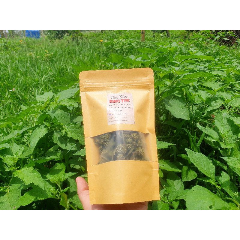 Nụ Hoa Tam Thất Khô (Ảnh Thật 100%)