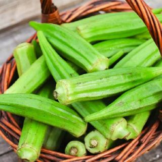 Đậu bắp xanh .giongcaynhap