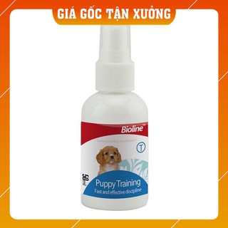Xịt vệ sinh chó mèo, xịt vệ sinh đúng chỗ