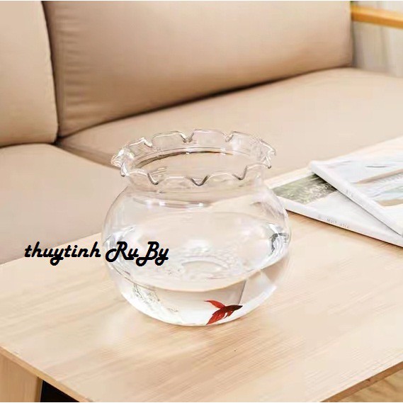 Bể Cá Thủy Tinh Để Bàn, Hồ Cá Mini, Chậu Cây Thủy Sinh B11 (D17CM X H16CM)