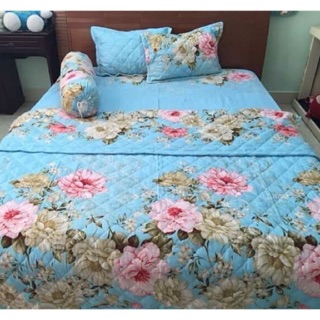 Bộ chăn hè ga gối poly