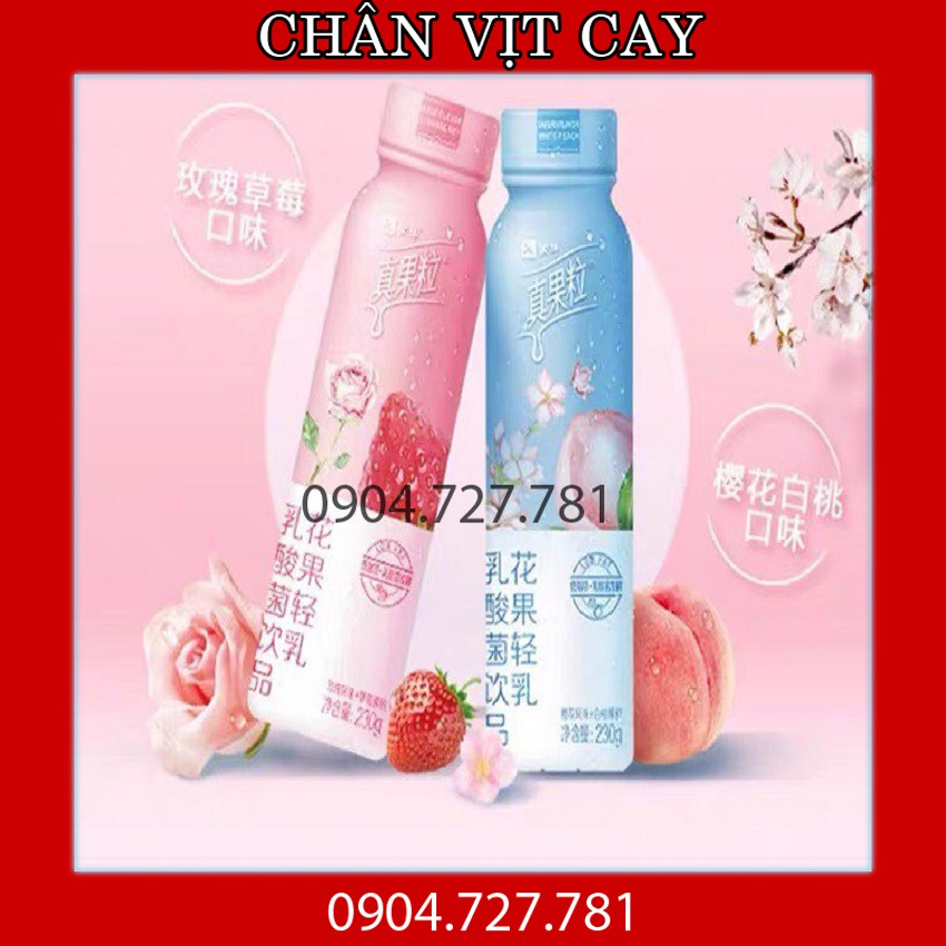Sữa chua uống❤️Sữa chua uống Chân Quả Lạp Tiêu Chiến đại ngôn-Vị hoa quả siêu ngon, bổ dưỡng