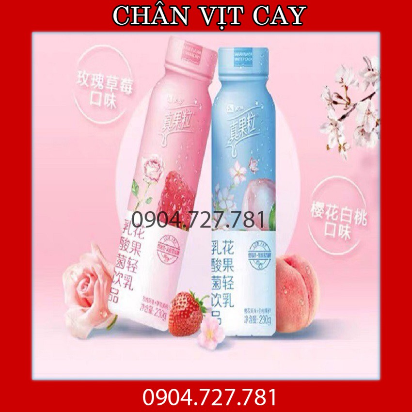 Sữa chua uống❤️Sữa chua uống Chân Quả Lạp Tiêu Chiến đại ngôn-Vị hoa quả siêu ngon, bổ dưỡng