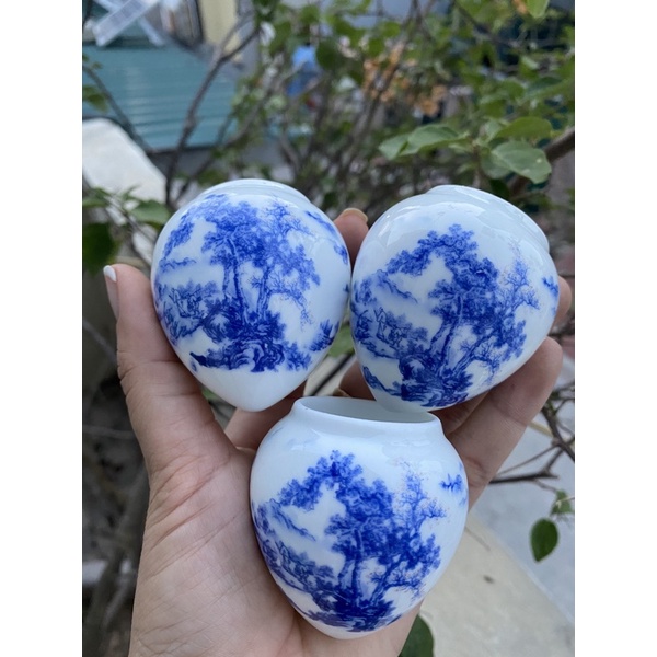 Cóng chim choè than dùng lắp lồng choè