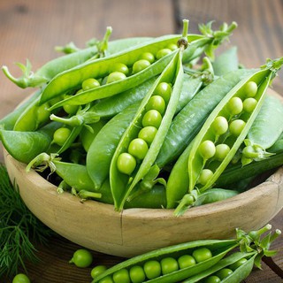 Hạt Giống Đậu Hà Lan Xanh Leo Chịu Nhiệt (40 Hạt) - [MUA 3 TẶNG 1 CÙNG LOẠI] - Giàu Dinh Dưỡng , Năng Suất Cao