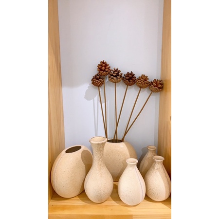 Hoa khô cắm trang trí gia đình,làm phụ kiện chụp ảnh sản phẩm