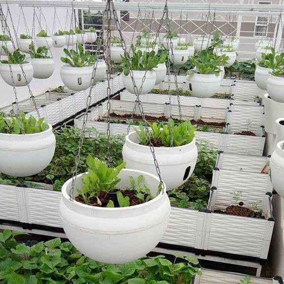 Chậu ghép thông minh chữ L siêu đẹp hàng việt nam.