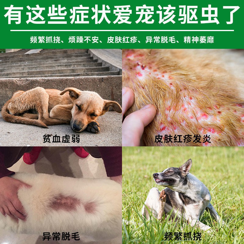 [an toàn không sợ liếm] thuốc tẩy bọ chét cho chó trong ống nghiệm giun mèo thú cưngJUC