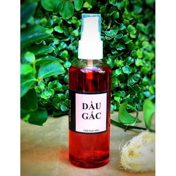 TINH DẦU GẤC HANDMADE NHÀ BỘT