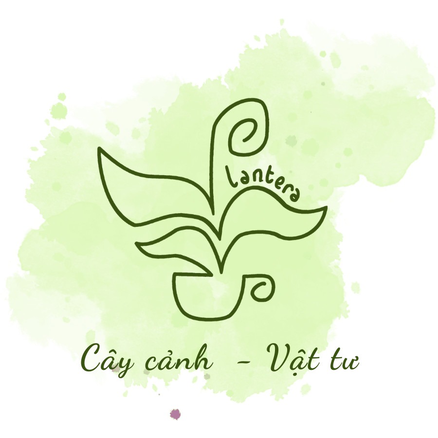 PLANTERA - Cây cảnh & Vật tư